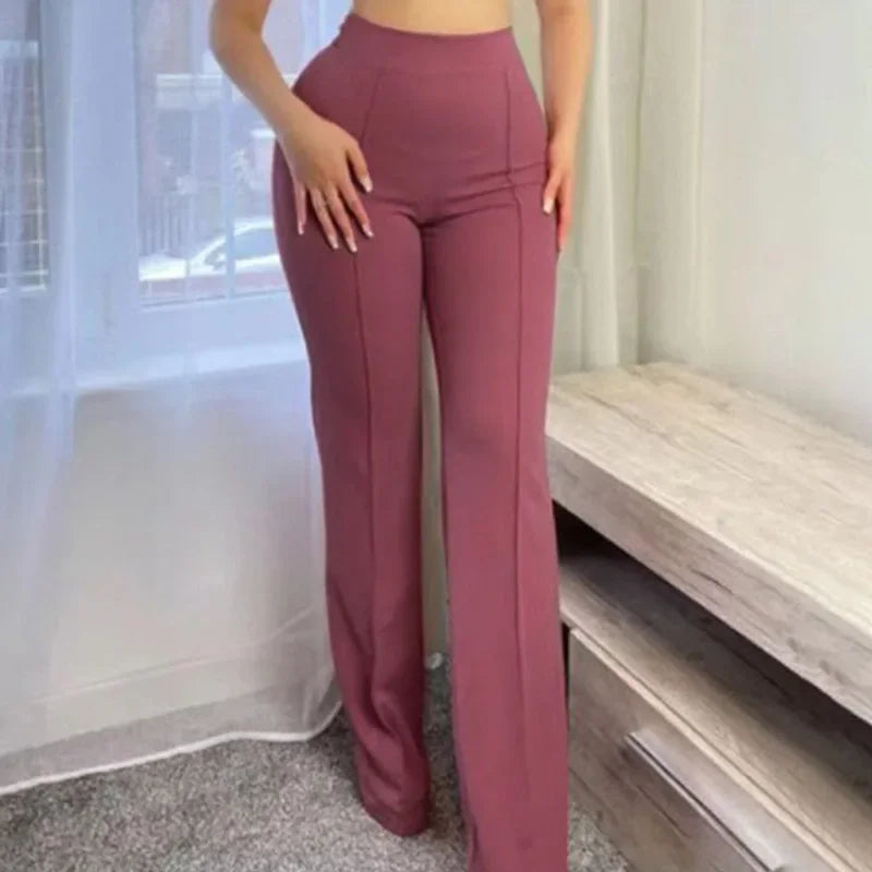 Versatile Fashion Wide Leg Pants for Women New Casual Spring and Autumn 2023 New Temperament Commuter Micro Pull Trousers