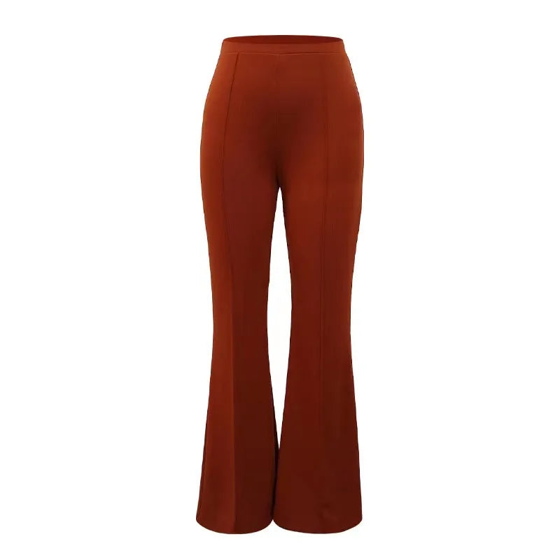 Versatile Fashion Wide Leg Pants for Women New Casual Spring and Autumn 2023 New Temperament Commuter Micro Pull Trousers
