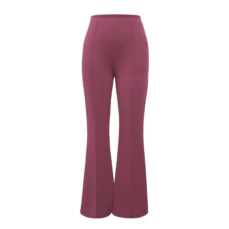 Versatile Fashion Wide Leg Pants for Women New Casual Spring and Autumn 2023 New Temperament Commuter Micro Pull Trousers