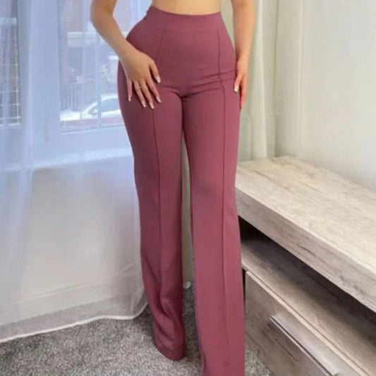 Versatile Fashion Wide Leg Pants for Women New Casual Spring and Autumn 2023 New Temperament Commuter Micro Pull Trousers